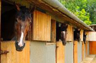 free Lower Frankton stable construction quotes